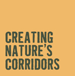 Creating Nature’s Corridors